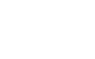 Campaigns and Elections México