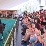 FERIA INTERNACIONAL DEL CABALLO 2026 CIERRA CON ÉXITO, 80 MIL VISITAS Y SALDO BLANCO