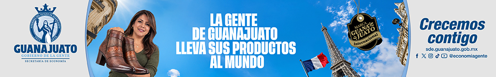 Campaigns & Elections México
