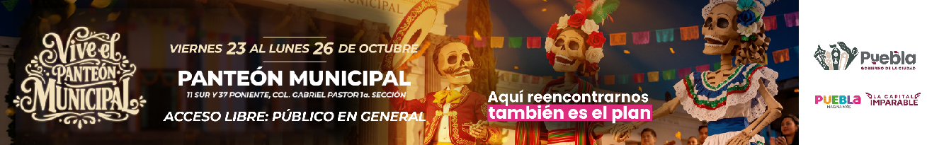 Campaigns & Elections México