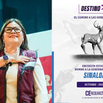 Imelda Castro mantiene ventaja sobre oposición rumbo a la gubernatura de Sinaloa: CE Research