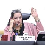 Taddei renunciará a la presidencia del INE a un mes de iniciar proceso electoral de 2027