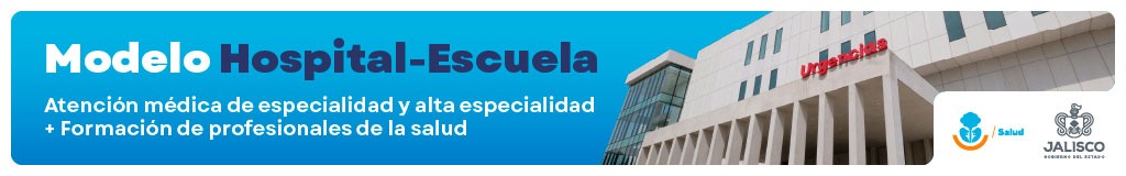 Jalisco · Semiconductores